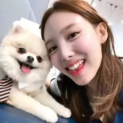向琨瑶